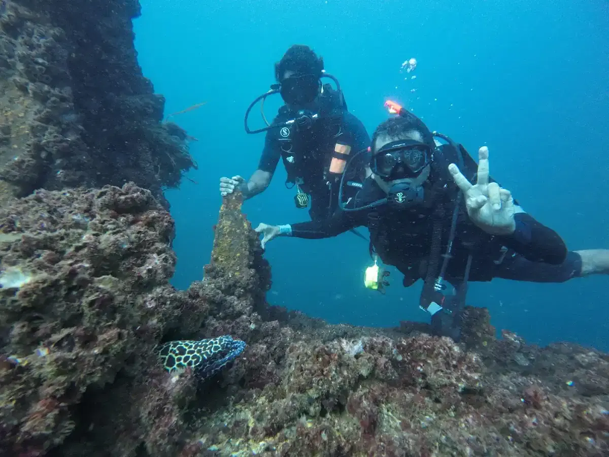 Thumbnail for Scuba Ceylon Diving Center in Colombo