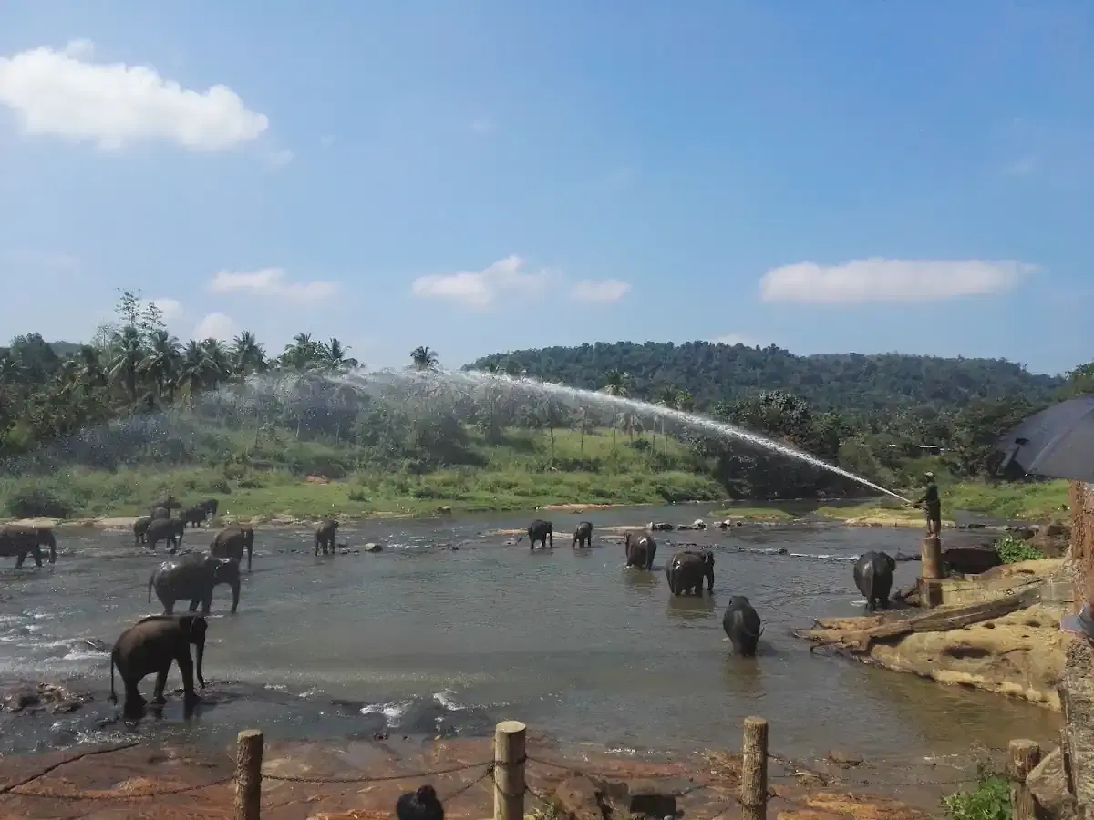 Thumbnail for Sri Lanka My Driver SD Tours