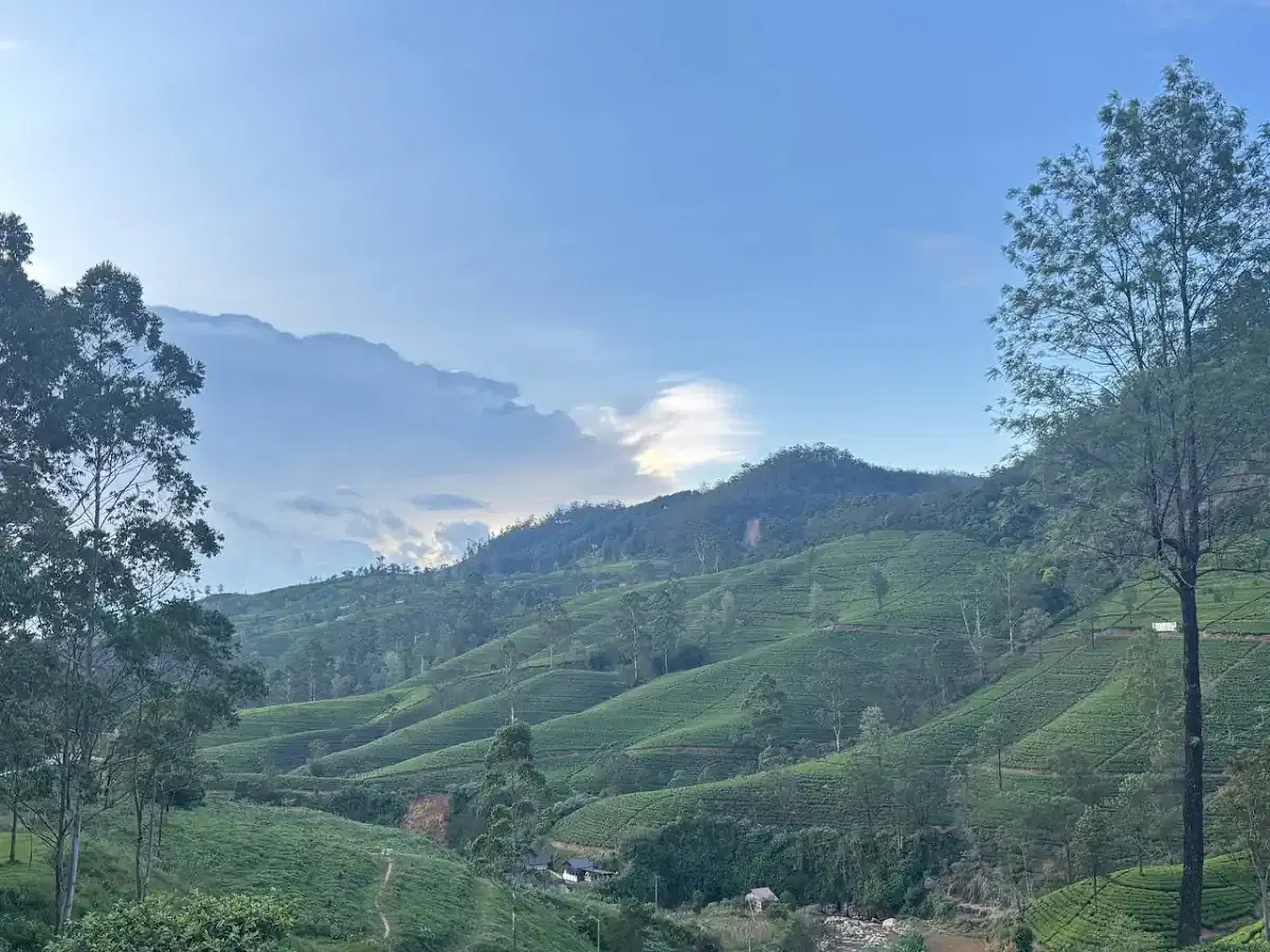 Thumbnail for Sri Lanka Budget private Tours & Tour Guide
