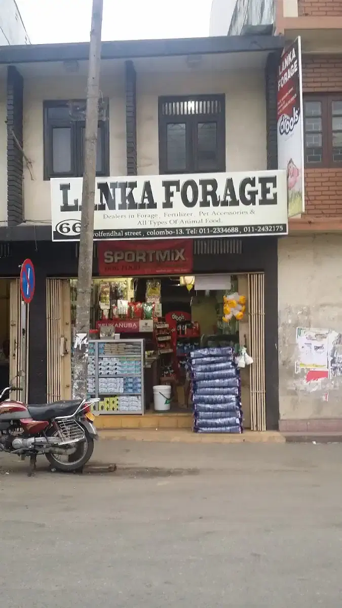 Thumbnail for Lanka Forage