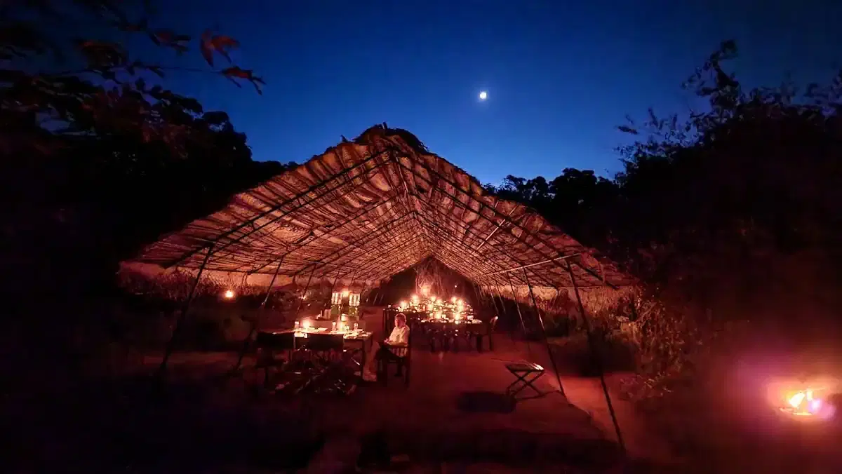 Thumbnail for Mahoora Tented Safari Camps