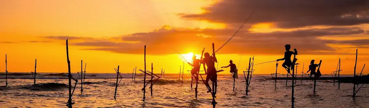 Thumbnail for Adventure Lanka Tours (Pvt) Ltd