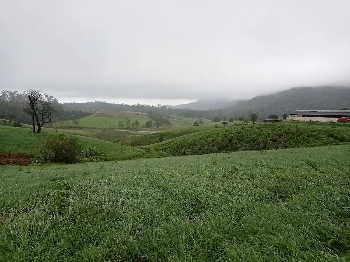 Thumbnail for Ambewela Farm Ground
